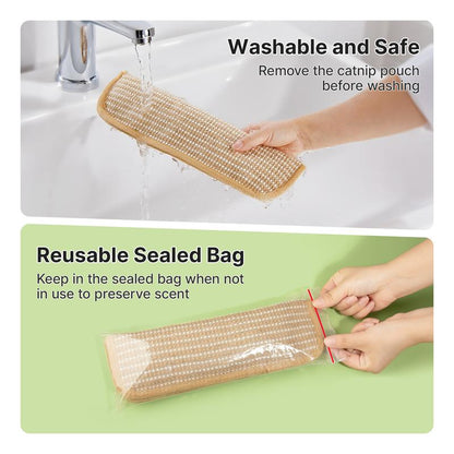 Stop Furniture Destruction, Anxiety, and Boredom with Evoraq