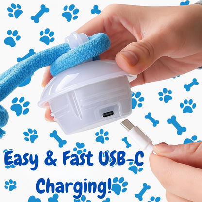 Evoraq Motion-Activated Interactive Pet Ball