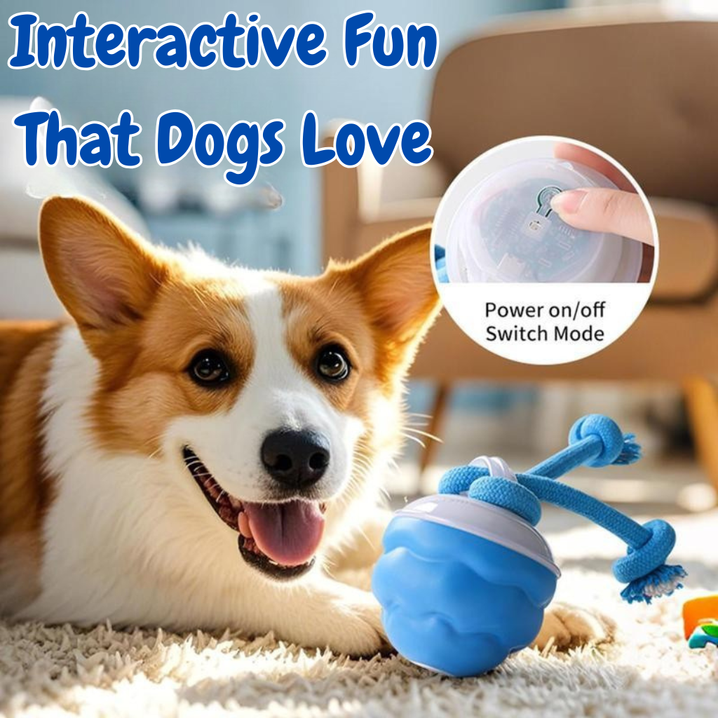 Evoraq Motion-Activated Interactive Pet Ball