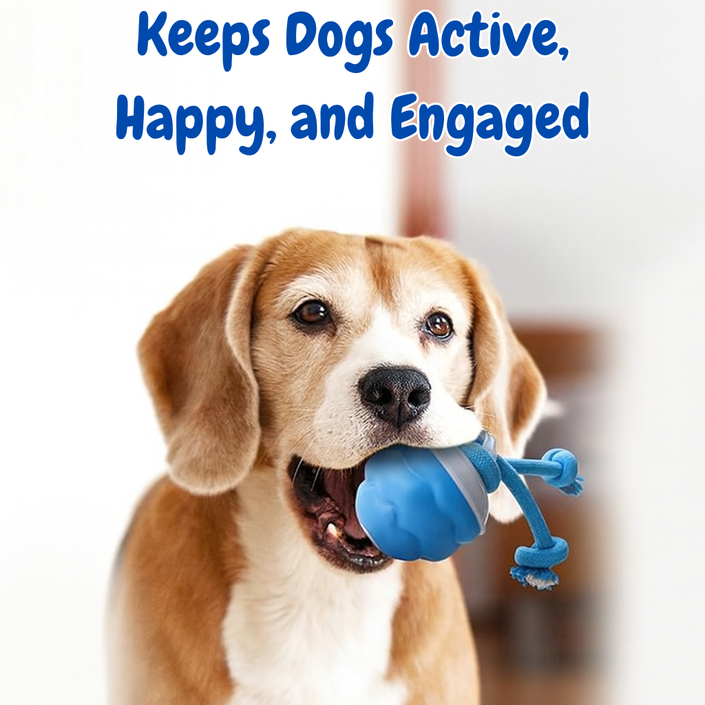 Evoraq Motion-Activated Interactive Pet Ball