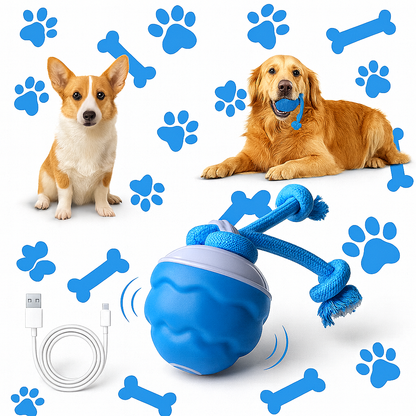 Evoraq Motion-Activated Interactive Pet Ball