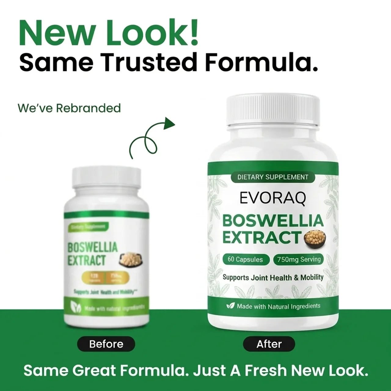 Evoraq Boswellia Extract