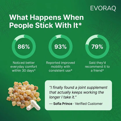 Evoraq Boswellia Extract