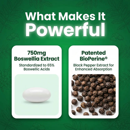 Evoraq Boswellia Extract
