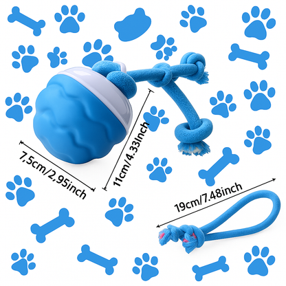 Evoraq Motion-Activated Interactive Pet Ball
