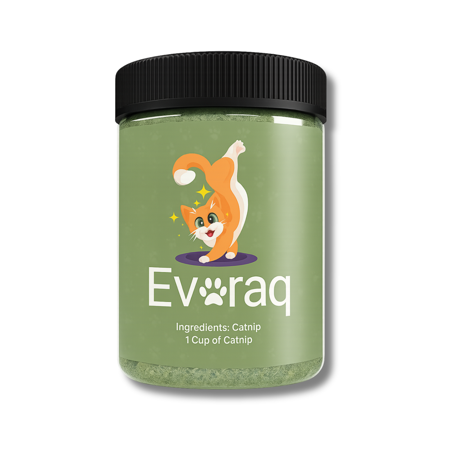 Stop Furniture Destruction, Anxiety, and Boredom with Evoraq