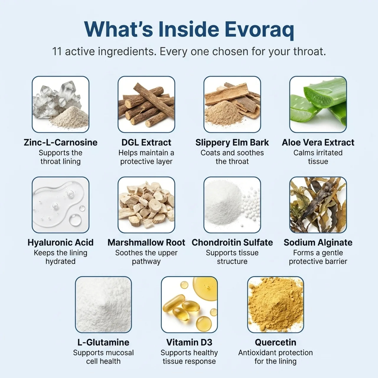 Evoraq Throat & Esophageal Support Formula