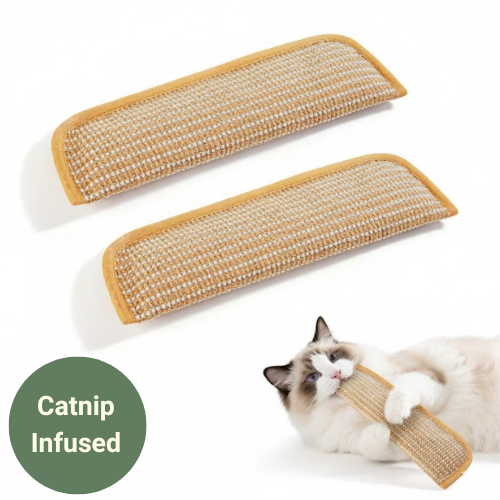 Stop Furniture Destruction, Anxiety, and Boredom with Evoraq