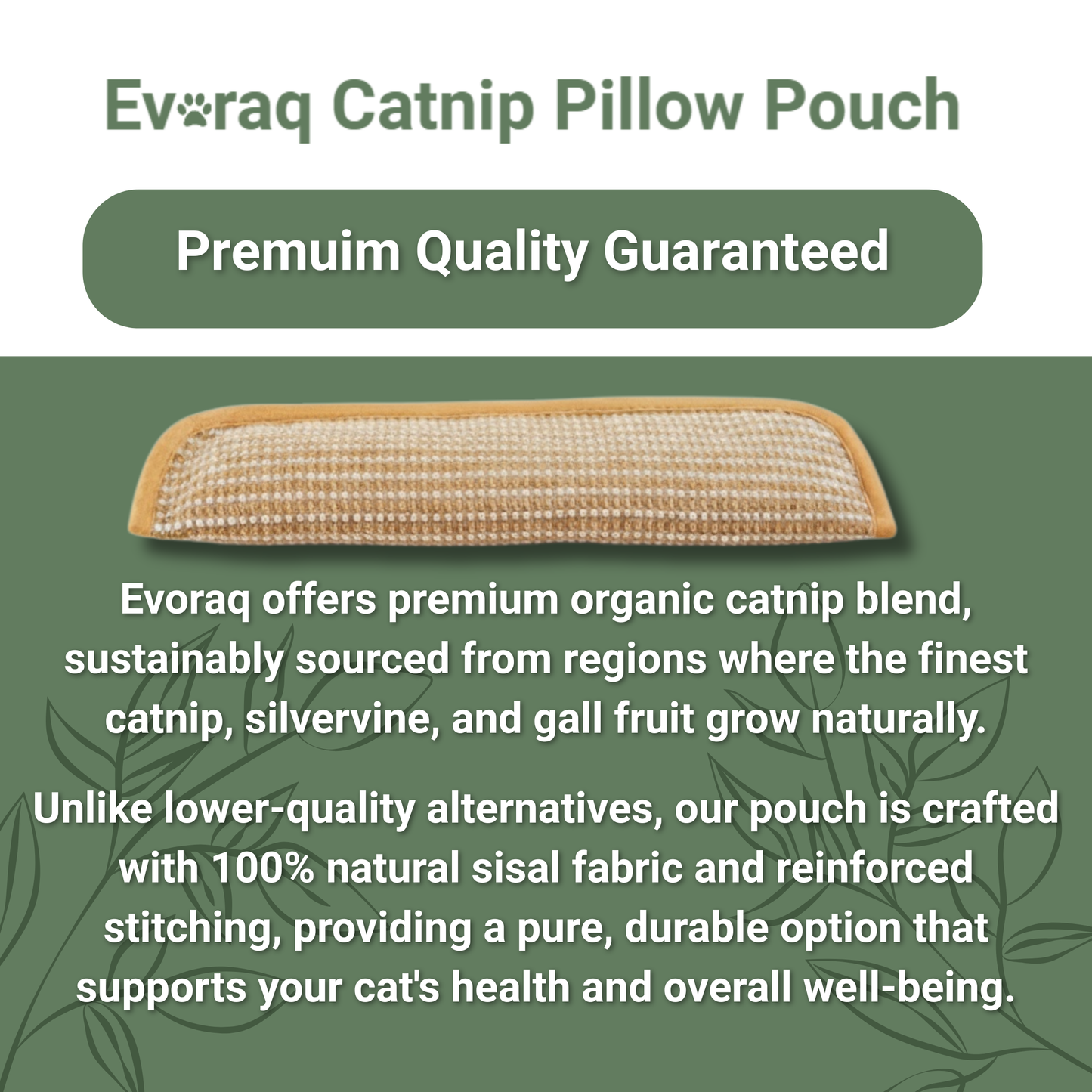 Stop Furniture Destruction, Anxiety, and Boredom with Evoraq