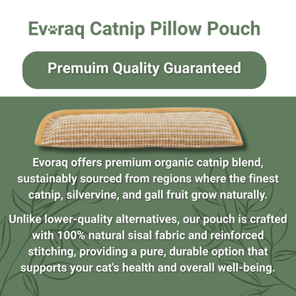 Stop Furniture Destruction, Anxiety, and Boredom with Evoraq